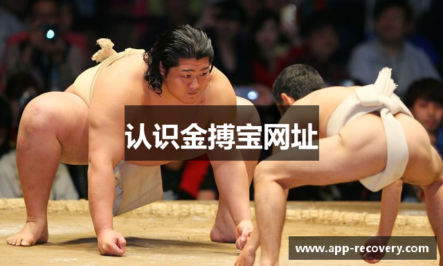 认识金搏宝网址
